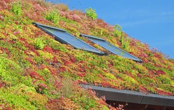 Chingford Hatch living roof systems