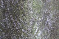 Chingford Hatch fibreglass roof work